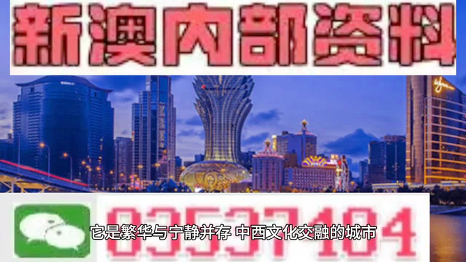 新澳门精准四肖期期中特公开,词语释义解释落实