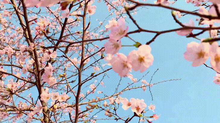 想见你最新集，时空交织的爱情奇迹