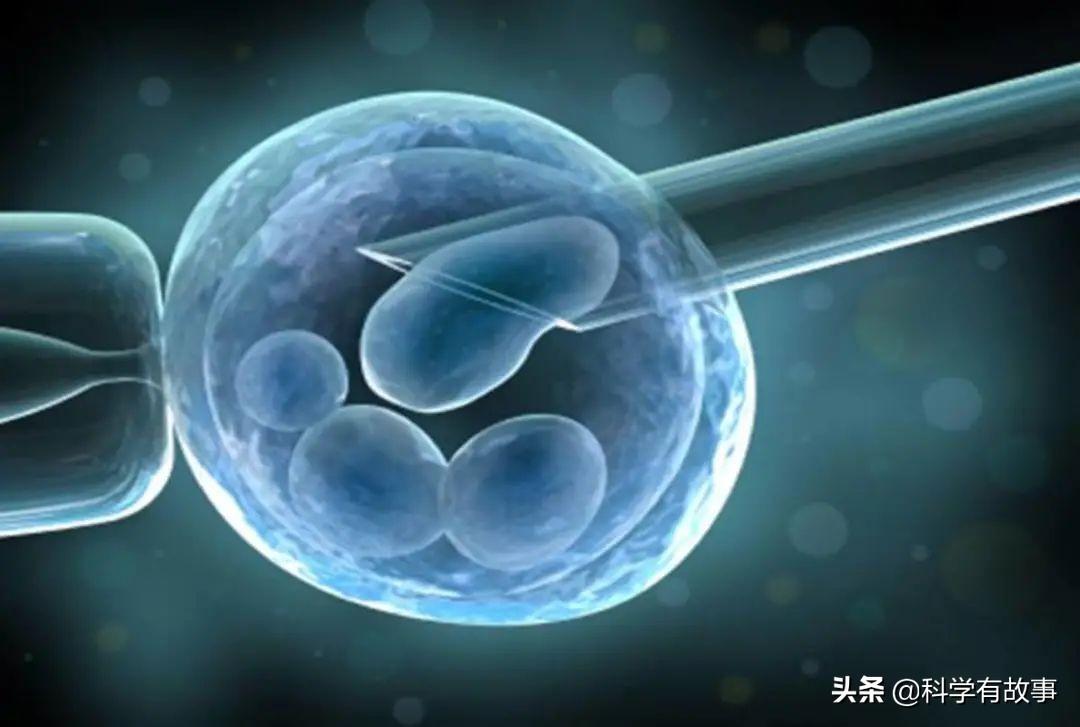 最新堕胎药，科技发展与伦理道德的考量
