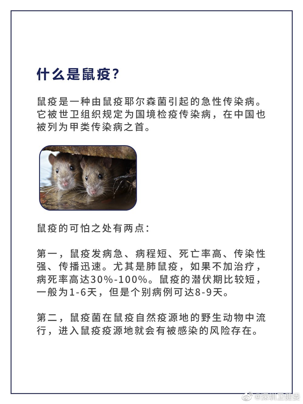 最新山东鼠疫概况及其应对措施