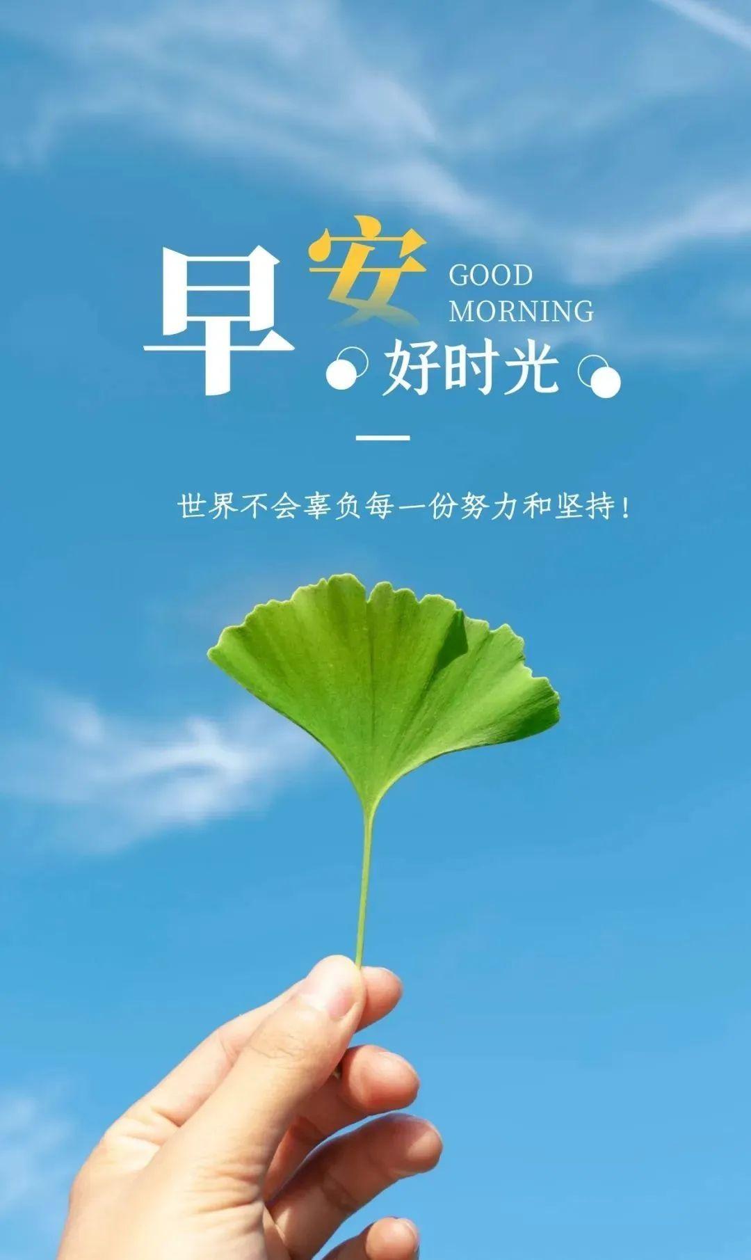 最新句子大全