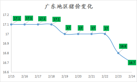 东莞猪肉最新价格动态分析