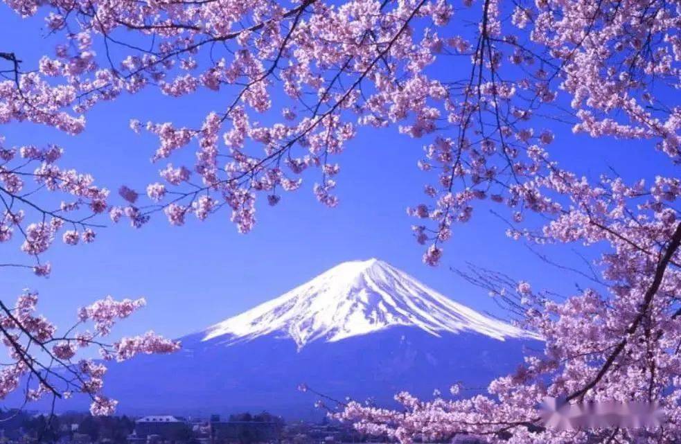 日本最新福利社，探索现代福利的新领域