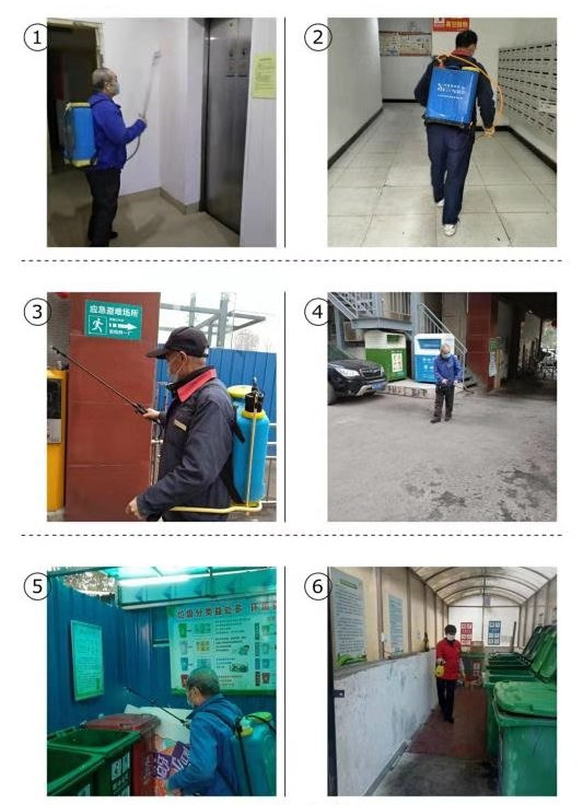 新强疫情最新动态，全面应对，守护家园安宁