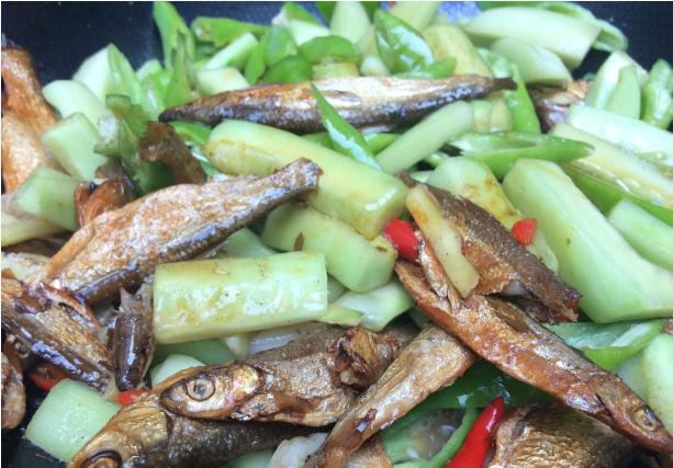 最新吃东西的视频，探索美食世界的魅力
