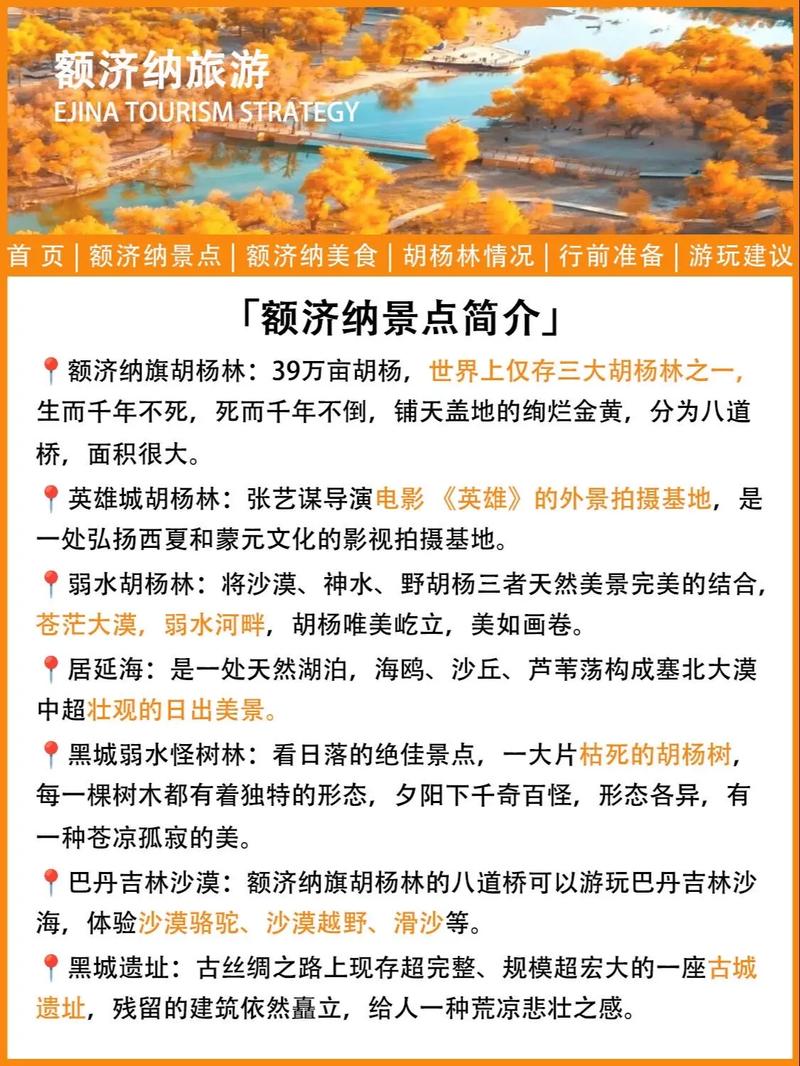 额济纳旗胡杨林最新概况