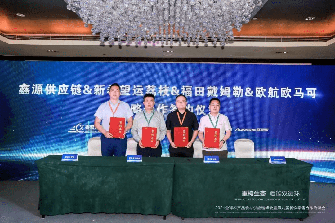 探索未来科技，揭秘全新智能硅胶娃娃——2018最新智能硅胶娃娃介绍与体验