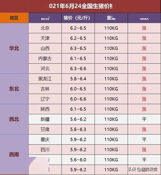 生猪今日价格最新行情分析
