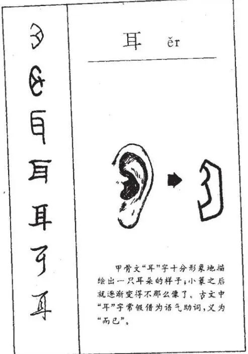 耳字的最新笔顺及其文化内涵探讨