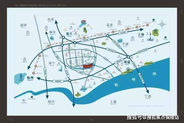 美国大选最新情报深度解析
